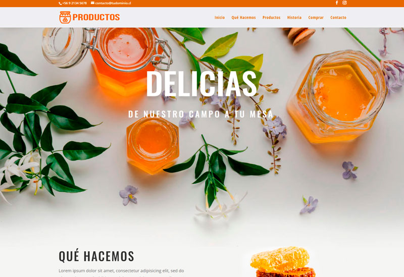 diseño sitios web one-page para productos naturales, alimenticios, orgánicos