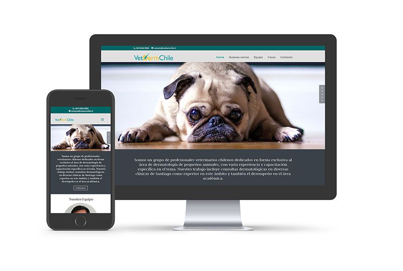 Sitio web dermatólogos veterinarios Vetdermchile