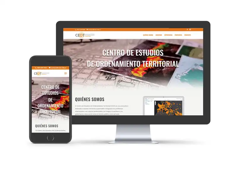 sitio web consultora